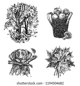 Walk in autumn forest. Set. Leaf fall, dog with stick, basket of mushrooms and bouquet maple leaves. Engraving style. Vector illustration.