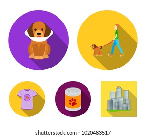 Walk, man, protection, collar, food.Dog set collection icons in flat style vector symbol stock illustration web.