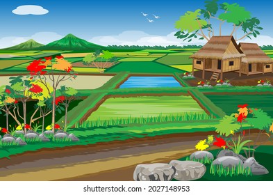 walk way in front of paddy field at countryside ,straw hut,vector design