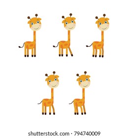Walking 5 Giraffes