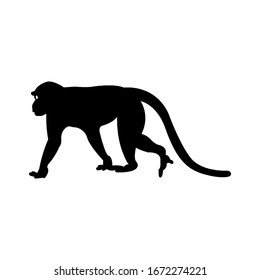 Walking apes monkey with silhouette and line art, ape, chimpanzee,