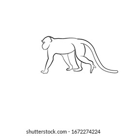 Walking apes monkey with silhouette and line art, ape, chimpanzee Vector illustration