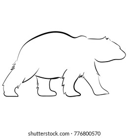 Walking Bear Silhouettes Style Logo Line Art Design Vector Illustration Sketch Isolated On A White Background