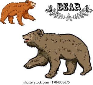   Walking bear. Two color variants.