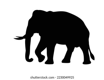 Walking big elephant strong power with outline black. vector illustration.