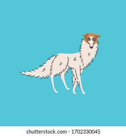 Walking Borzoi Dog in Blue Background Illustration for Dog Business Related