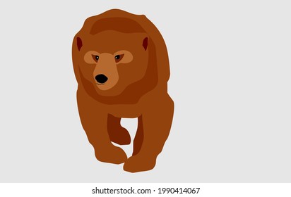Walking brown bear. flat style vector illustration isolated on white background