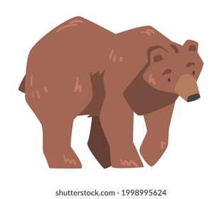 Walking Brown Bear, Large Wild Predator Mammal Animal Cartoon Vector Illustration