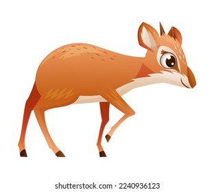 Walking Brown Dik-dik as African Small Antelope with Horns Vector Illustration