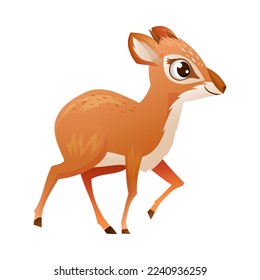 Walking Brown Dik-dik as African Small Antelope with Horns Vector Illustration