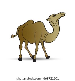 walking camel in brown color-vector drawing