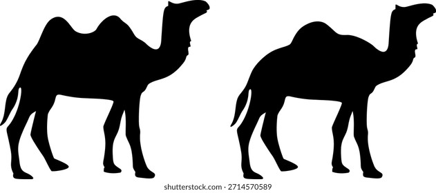 Caminando Camel Silueta Ilustración vectorial