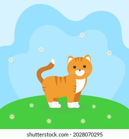 Es un gato que camina. Un gatito lindo sobre un fondo de hierba y cielo.