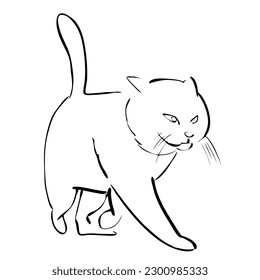 Walking cat portrait drawn in ink, vector illustration, quick sketch, line art