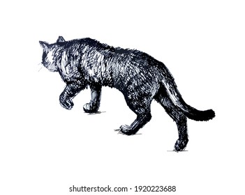 Gato caminando. Dibujo de líneas realista