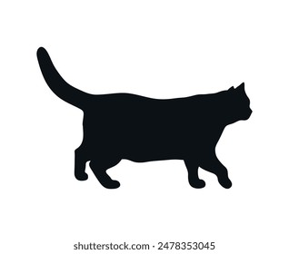 Walking cat silhouette isolated on white background. Feline shadow. Vector illustration
