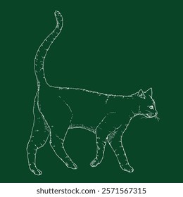 Walking Cat. Vector Chalk Sketch Feline Illustration