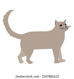 Walking Cat vector icon. Linear style sign for mobile concept and web design. House animals symbol logo illustration. vector graphics - Vector.