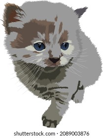 wandernde Katzenvektorgrafik oder Illustration