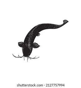 ilustración del vector de la mano del bagre caminando aislado en fondo blanco