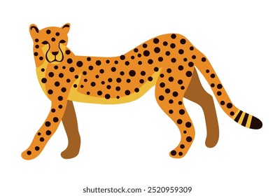 Chita ou leopardo andando em estilo de desenho animado. Ilustração vetorial de animais africanos predadores isolados sobre fundo branco para t-shirts, design de produtos para crianças