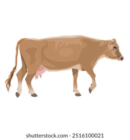 Vaca ambulante. Bovinos leiteiros castanhos suíços. Animais de criação. Gado. Ilustração de vetor isolada em um plano de fundo branco em um estilo realista