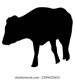 Walking cow silhouette isolated on white background. Cattle vector clipart.