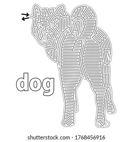 walking cute dog funny maze