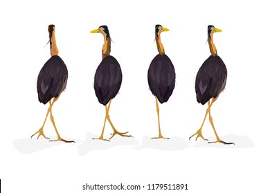 Walking cute heron. Purple Heron. Vector image. White background.