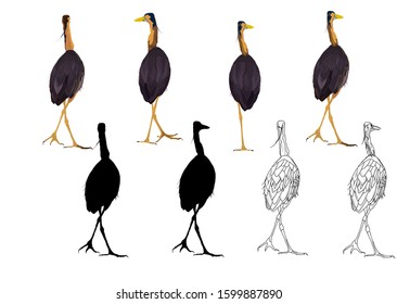 Walking cute heron. Purple Heron. Vector image. White background.