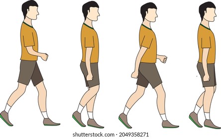 Walking cycle of a man. animated character for walking pose vector illustration