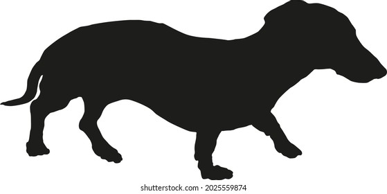 Walking dachshund puppy. Black dog silhouette. Pet animals. Isolated on a white background. Vector illustration.