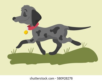 Walking dog