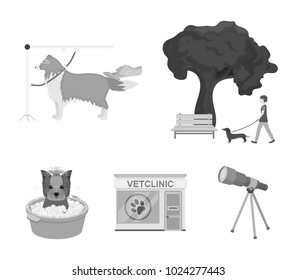 Walking with a dog in the park, combing a dog, a veterinarian's office, bathing a pet. Vet clinic and pet care set collection icons in monochrome style vector symbol stock illustration web.