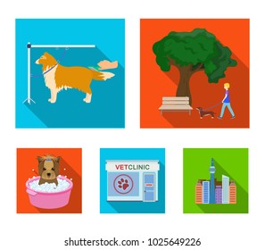 Walking with a dog in the park, combing a dog, a veterinarian's office, bathing a pet. Vet clinic and pet care set collection icons in flat style vector symbol stock illustration web.