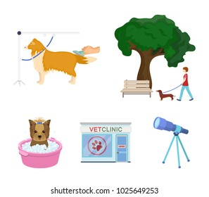 Walking with a dog in the park, combing a dog, a veterinarian's office, bathing a pet. Vet clinic and pet care set collection icons in cartoon style vector symbol stock illustration web.