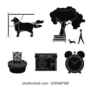 Walking with a dog in the park, combing a dog, a veterinarian's office, bathing a pet. Vet clinic and pet care set collection icons in black style vector symbol stock illustration web.