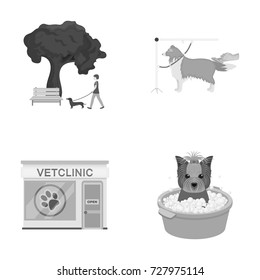 Walking with a dog in the park, combing a dog, a veterinarian's office, bathing a pet. Vet clinic and pet care set collection icons in monochrome style vector symbol stock illustration web.