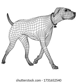 Walking dog polygonal lines illustration. Abstract vector dog on the white background