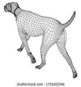 Walking dog polygonal lines illustration. Abstract vector dog on the white background