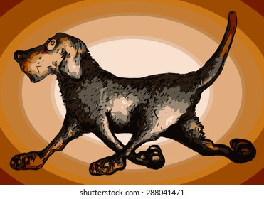 Walking dog radio
