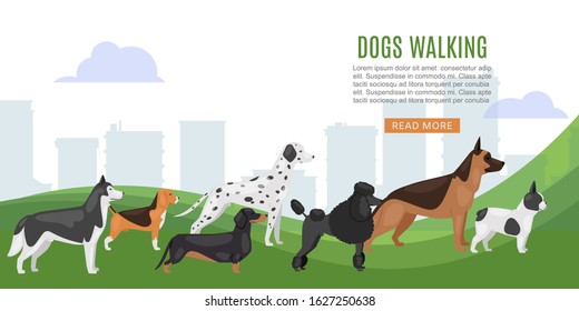 Walking dog service web baner vector illustration. Big size dogs and home pets. Happy and friendly dogs walking dalmatian, bulldog, beagle and poodel, husky with text space and typography.