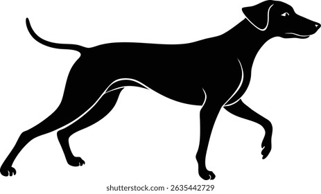 Walking dog silhouette vector illustration design