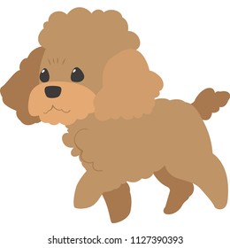 Walking Dog Toy Poodle Stock Vector (Royalty Free) 1127390393