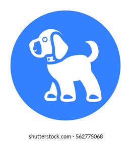 Walking the dog vector icon in black style for web