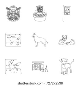 Walking with a dog, a vet clinic, a dog haircut, a puppy bathing, feeding a pet. Vet clinic and pet care set collection icons in outline style vector symbol stock illustration web.