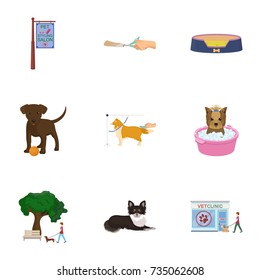 Walking with a dog, a vet clinic, a dog haircut, a puppy bathing, feeding a pet. Vet clinic and pet care set collection icons in cartoon style vector symbol stock illustration web.