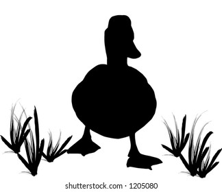 Walking duck with grass, silhouette vector so all editable