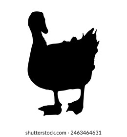 Walking duck silhouette or vector file