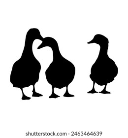 Walking duck silhouette or vector file